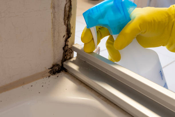 Best Water Damage Restoration  in Worcester, MA